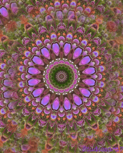 Alice In Wonderland Mandala Kaleidoscope GIF