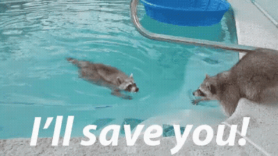 Alice In Wonderland Saying Thank You GIF