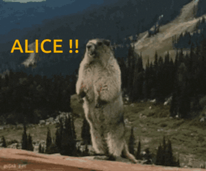 Alice Yelling GIF