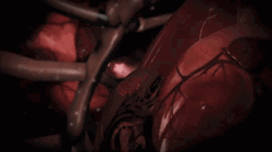 Alien Chestburster Crawling Pumping Heart GIF