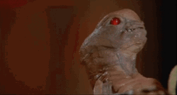 Alien Chestburster Wearing Hat Parody GIF