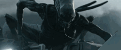 Alien Chestburster Xenomorph Exoskeleton GIF