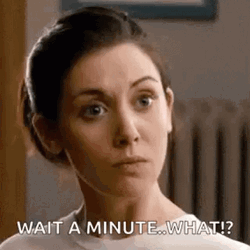 Alison Wait A Minute What Meme GIF