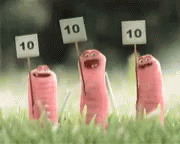 All 10 Points From Worm Loop GIF
