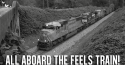 All Aboard The Feels Train GIF