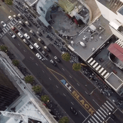 All Black Los Angeles Road Sign  GIF