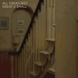 All Creatures Great And Small Peek Spy GIF