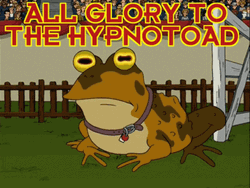 All Glory To Hypnotoad Futurama GIF