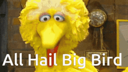All Hail Big Bird GIF