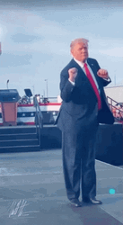 All I Do Is Win Donald Trump GIF