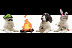 All My Fellas Bonfire GIF