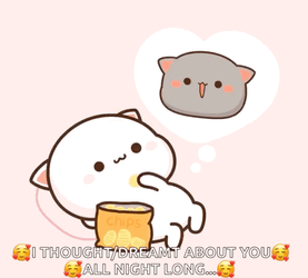 All Night Long Chomping Snacks Peach Goma GIF