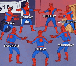 All Week 7 Days Spider Man Meme GIF