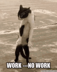 All Work And No Play Work No Work GIF