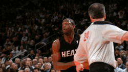 Alley Oop Dwyane Wade Miami Heat GIF