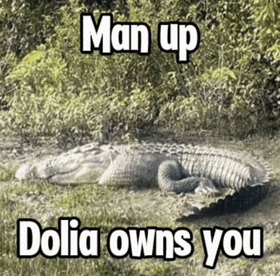 Alligator Laying In Grass Saying Man Up Dolia Owns You GIF