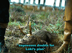 Alligator Loki Heads Up Doubt Funny Meme