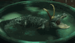 Alligator Loki Movie Growl Angry
