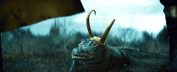 Alligator Loki Walking Follow Loki Marvel Series GIF