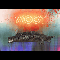 Alligator Spinning Around Woot GIF