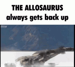 Allosaurus Back It Up GIF