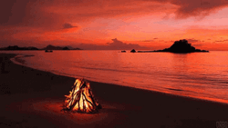 Alluring Campfire Beach Sunset Sky GIF