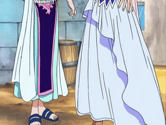 Alluring One Piece Nami Nefertari Vivi GIF