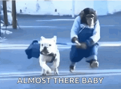 Almost There Pup And Monkey Running GIF