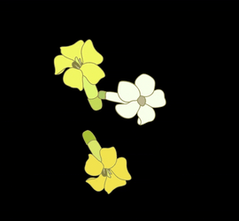 Aloha Friday Dancing Flowers GIF