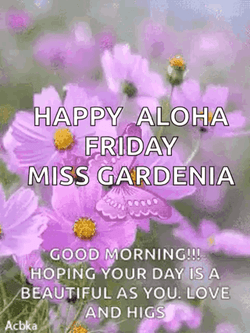 Aloha Friday Violet Butterfly GIF