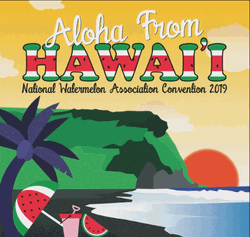 Aloha From Hawaii Friday GIF