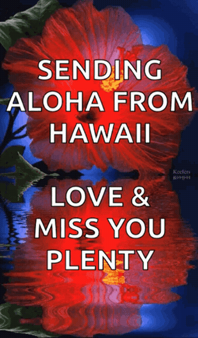 Aloha From Hawaii Love Miss You GIF