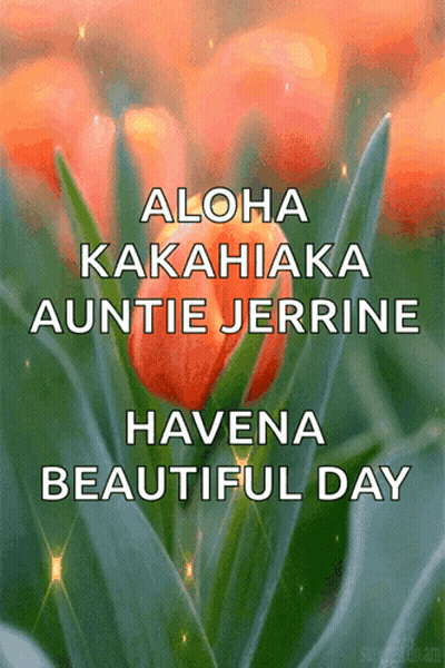 Aloha Kakahiaka Auntie Jerrine Beautiful Day GIF