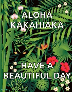 Aloha Kakahiaka Have A Beautiful Day Poster GIF