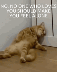 Alone Cat Glass Beach Lyrics GIF