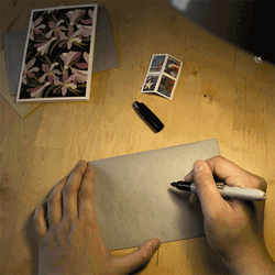 Alone No One Mail GIF