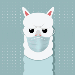Alpaca GIFs | GIFDB.com
