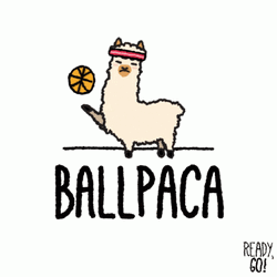 Alpaca Playing Ball GIF