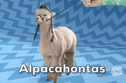 Alpaca Pocahontas Look GIF