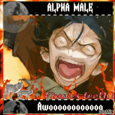 Alpha Male Text GIF