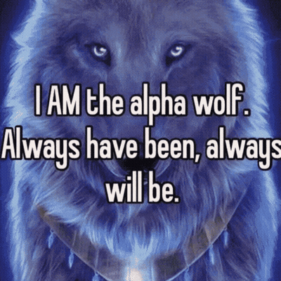 Alpha Wolf Always Has Been GIF