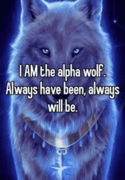 Alpha Wolf Quote GIF