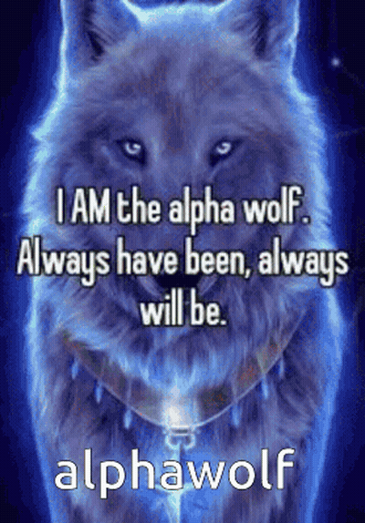 Alpha Wolf Quote I Am The Alpha GIF