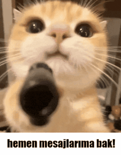 Alphams Alphams Gif GIF