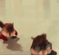 Alvin And Simon Chipmunks Adventure GIF