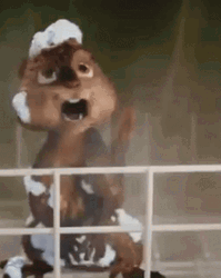 Alvin And The Chipmunks Frightened Reaction GIF