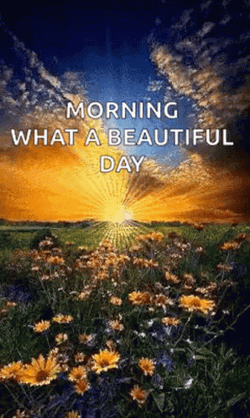 Always Beautiful Sunny Day GIF