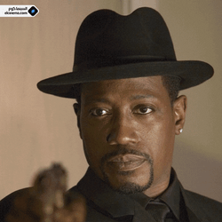 Always Bet On Black Wesley Snipes Looks GIF