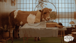 Always Happy To Help Out A Homie Cow GIF