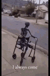 Always Skeleton Riding A Wheel Chair GIF